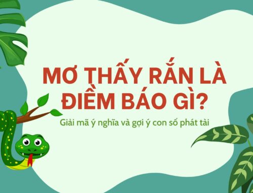 Mơ thấy rắn là điềm lành hay dữ? Giải mã ý nghĩa và gợi ý con số phát tài